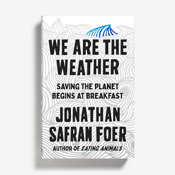 Cover of We Are the Weather