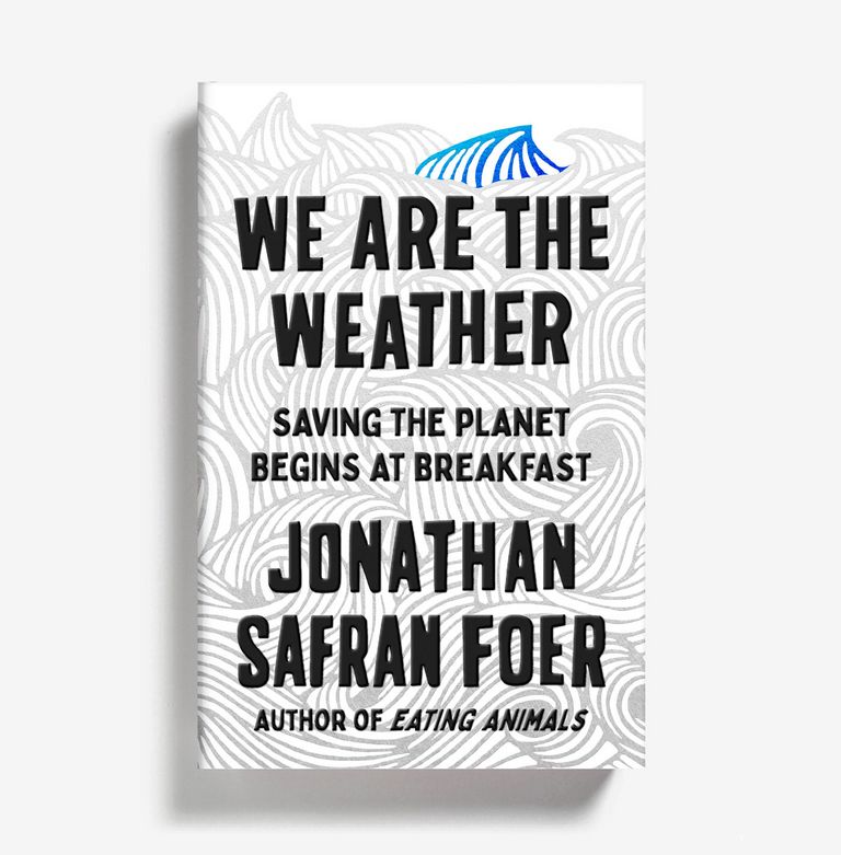 Cover of We Are the Weather