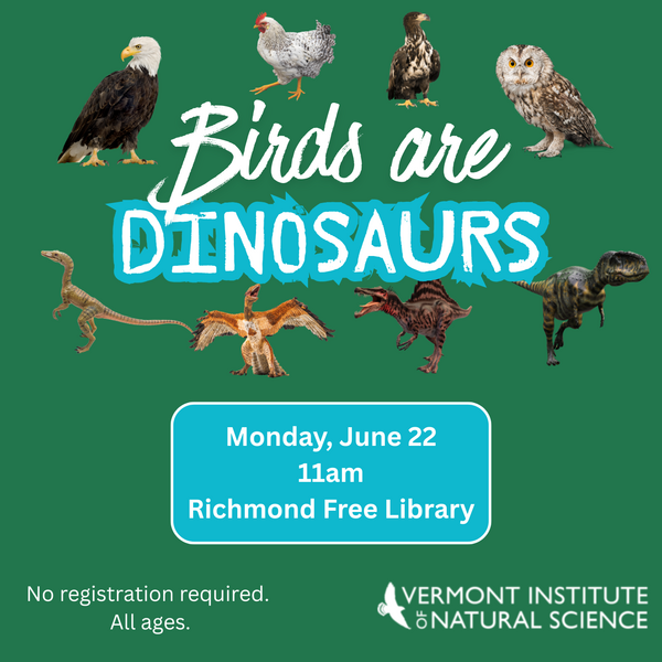 Graphic of dinosaurs and birds